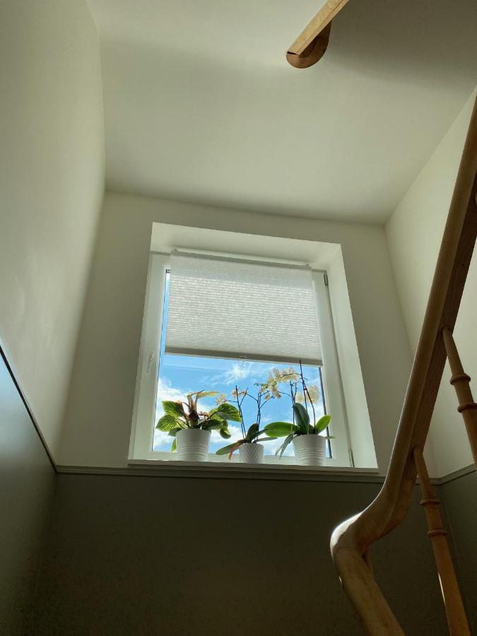 Logies-M Comfort Studios Inc Bikes B&B Ostend Luaran gambar